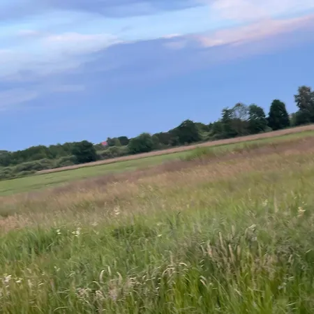 Ksiezycowy